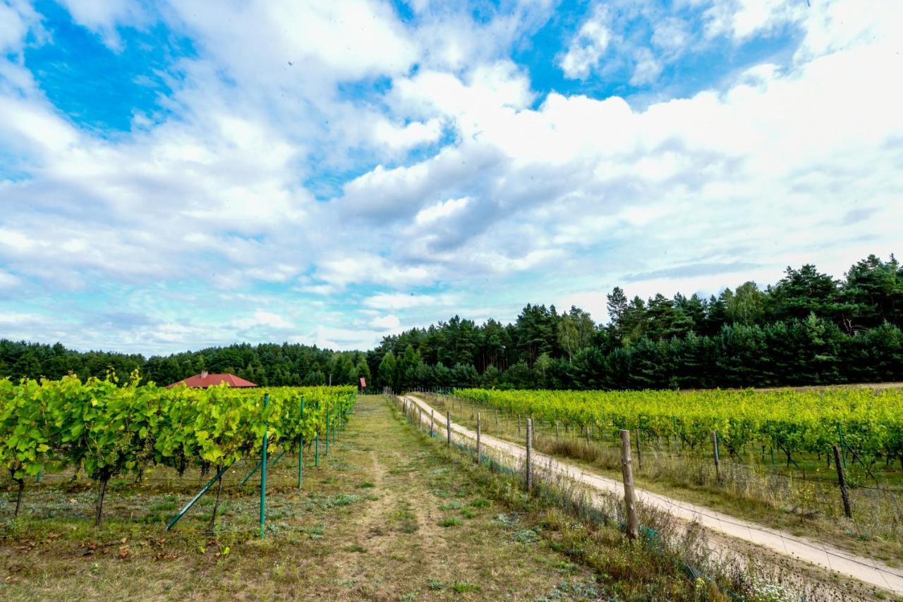 Winnica "Zabi Raj" Skarszewy ภายนอก รูปภาพ