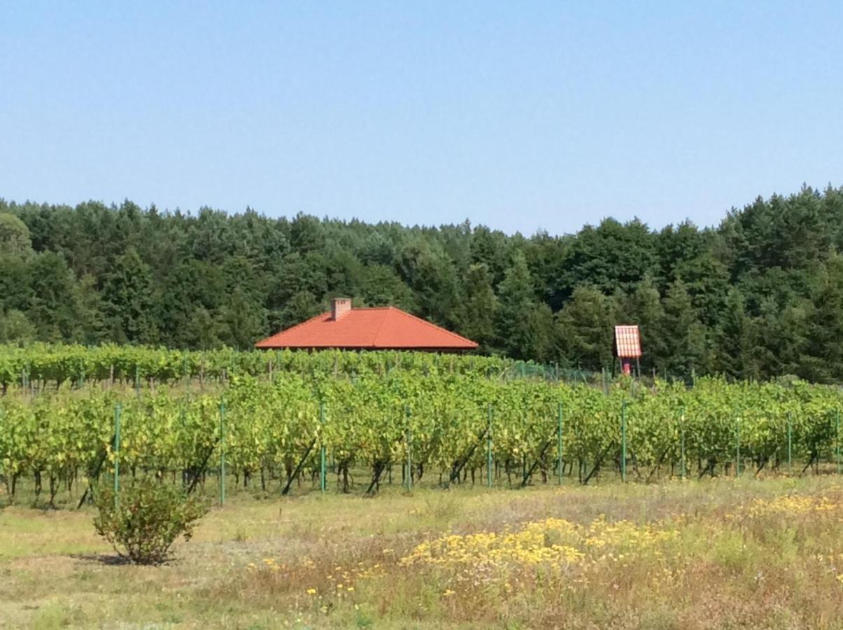 Winnica "Zabi Raj" Skarszewy ภายนอก รูปภาพ